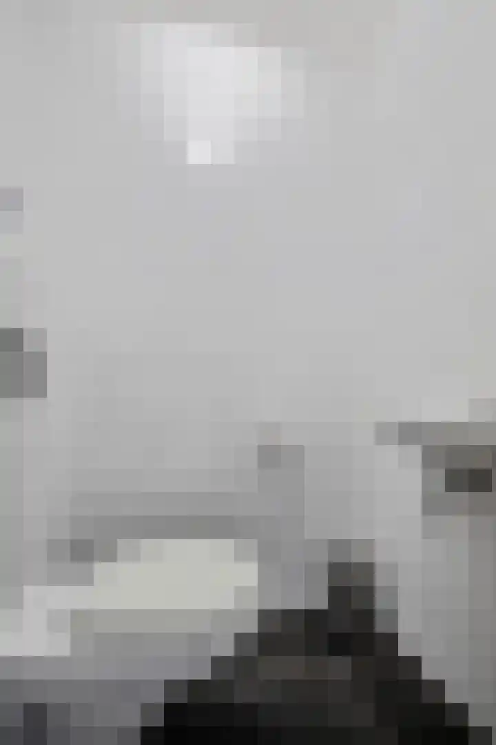 Theebos 13 Limmen thumbnail 12