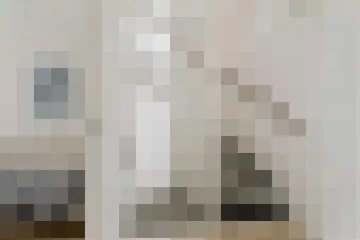 Theebos 13 Limmen thumbnail 15
