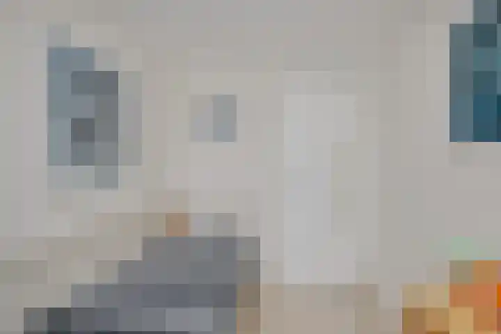 Theebos 13 Limmen thumbnail 17
