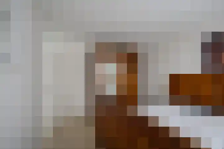 Theebos 13 Limmen thumbnail 19
