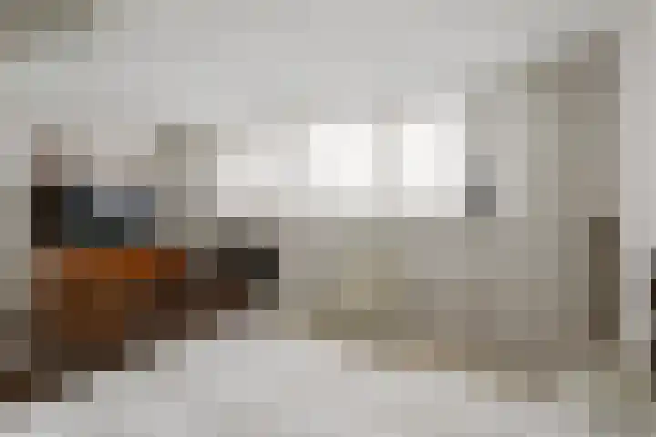 Theebos 13 Limmen thumbnail 23