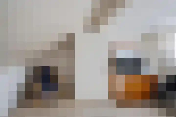 Theebos 13 Limmen thumbnail 24