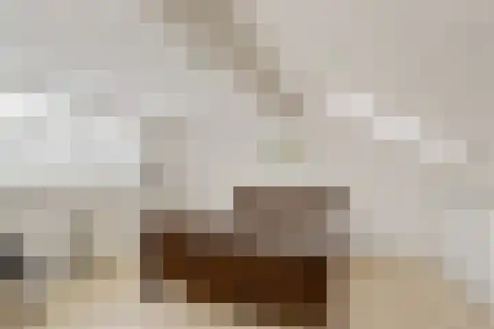 Theebos 13 Limmen thumbnail 25