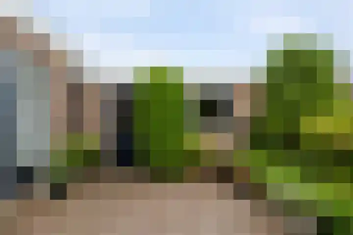 Theebos 13 Limmen thumbnail 28