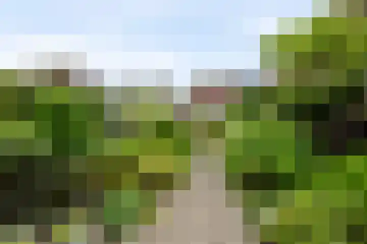 Theebos 13 Limmen thumbnail 29