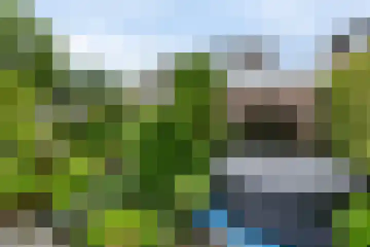 Theebos 13 Limmen thumbnail 30