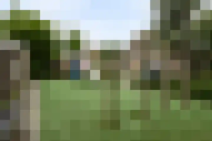Theebos 13 Limmen thumbnail 31