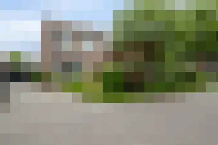 Theebos 13 Limmen thumbnail 36