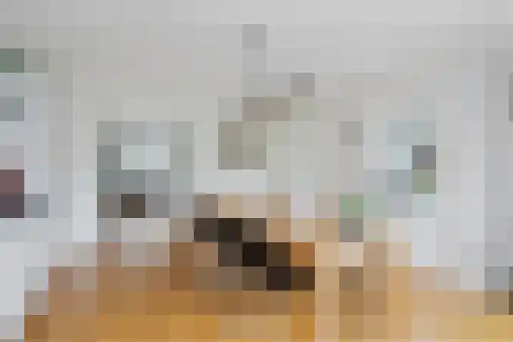 Theebos 13 Limmen thumbnail 4