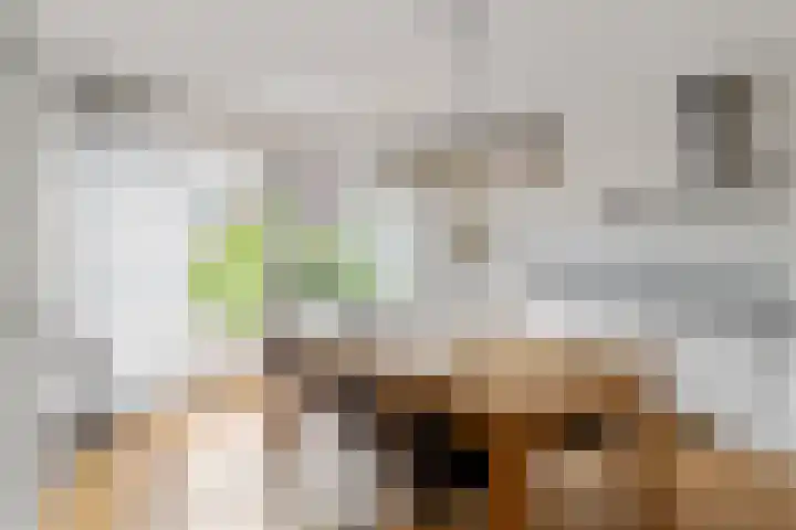 Theebos 13 Limmen thumbnail 7