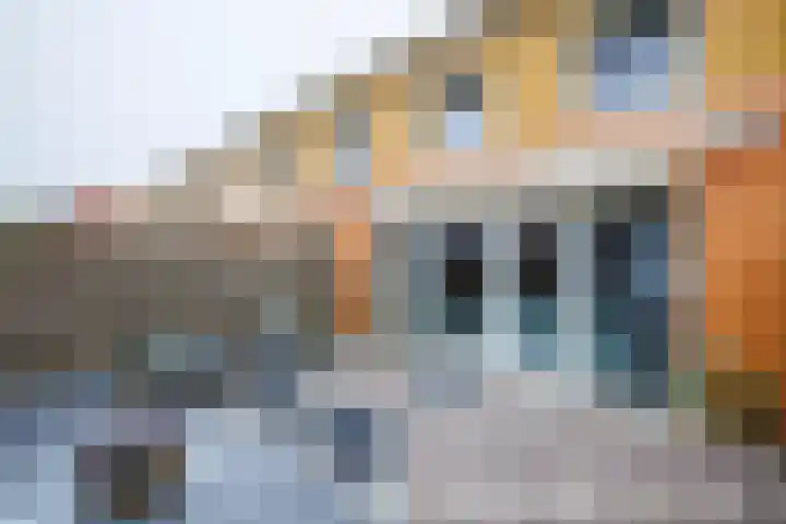 Theems 12 Doetinchem thumbnail 13