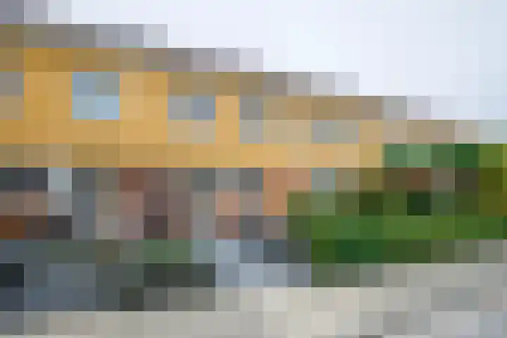 Theems 12 Doetinchem thumbnail 18