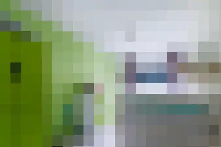 Theems 12 Doetinchem thumbnail 28