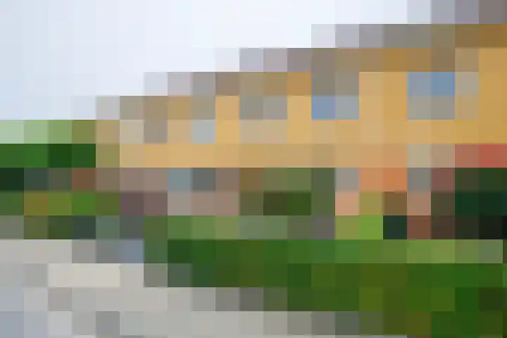 Theems 12 Doetinchem thumbnail 37