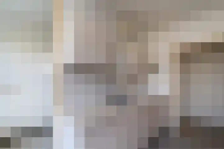 Theemsdreef 113 Utrecht thumbnail 11