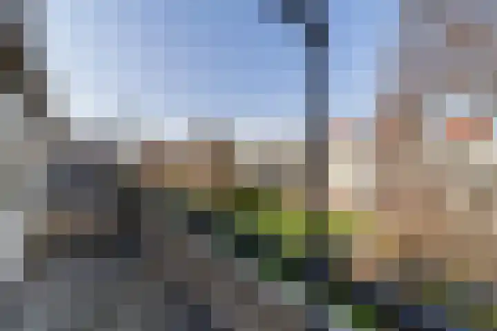 Theemsdreef 113 Utrecht thumbnail 13
