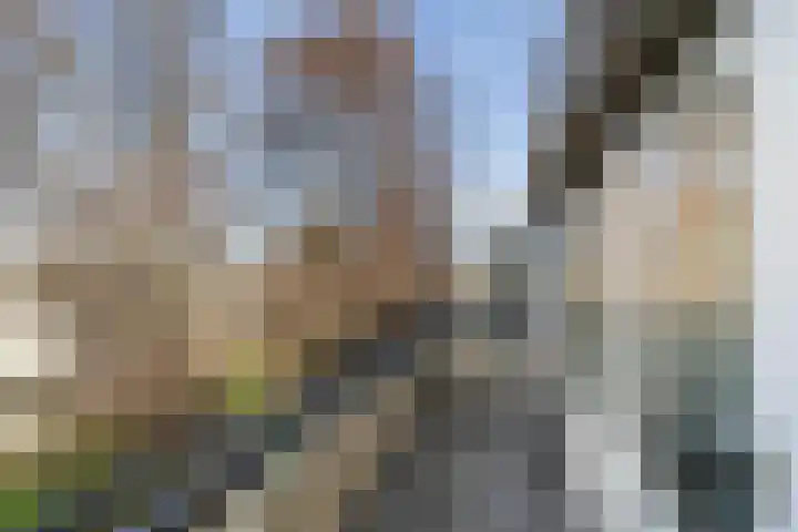 Theemsdreef 113 Utrecht thumbnail 14