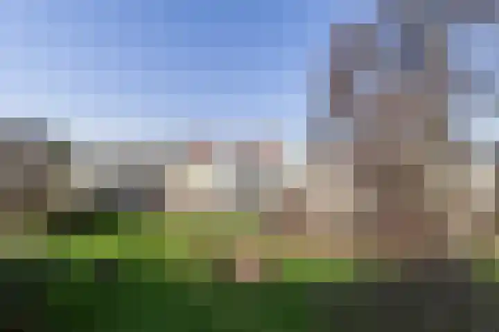 Theemsdreef 113 Utrecht thumbnail 15