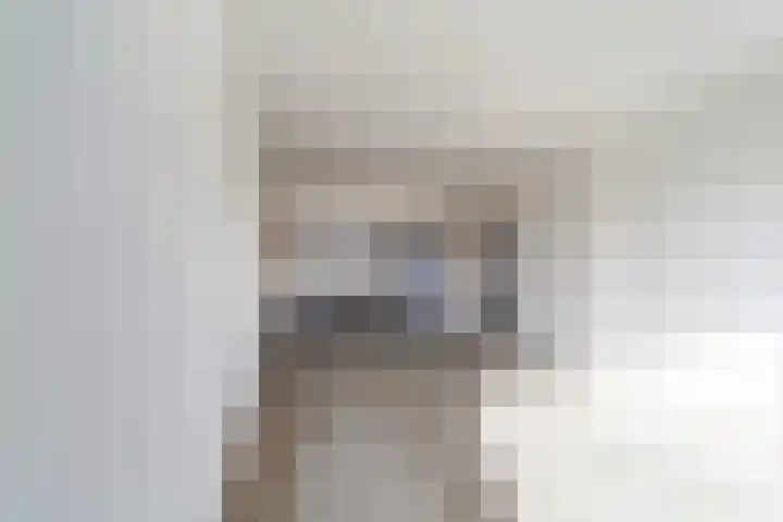 Theemsdreef 113 Utrecht thumbnail 18