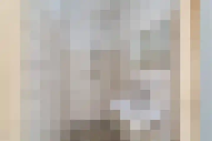 Theemsdreef 113 Utrecht thumbnail 24