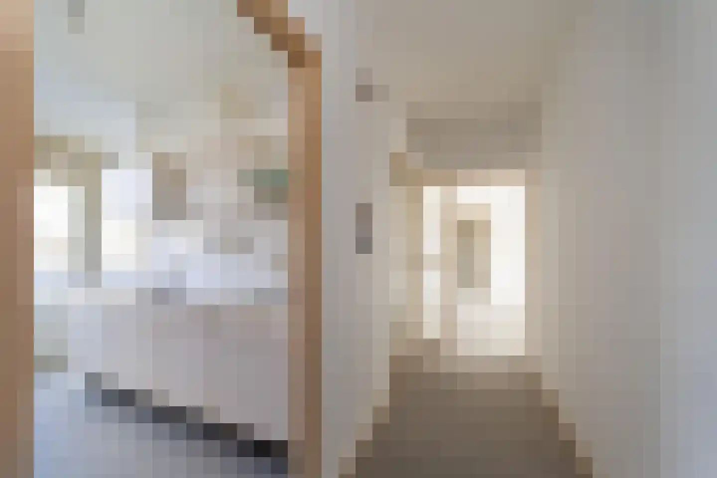 Theemsdreef 113 Utrecht thumbnail 8