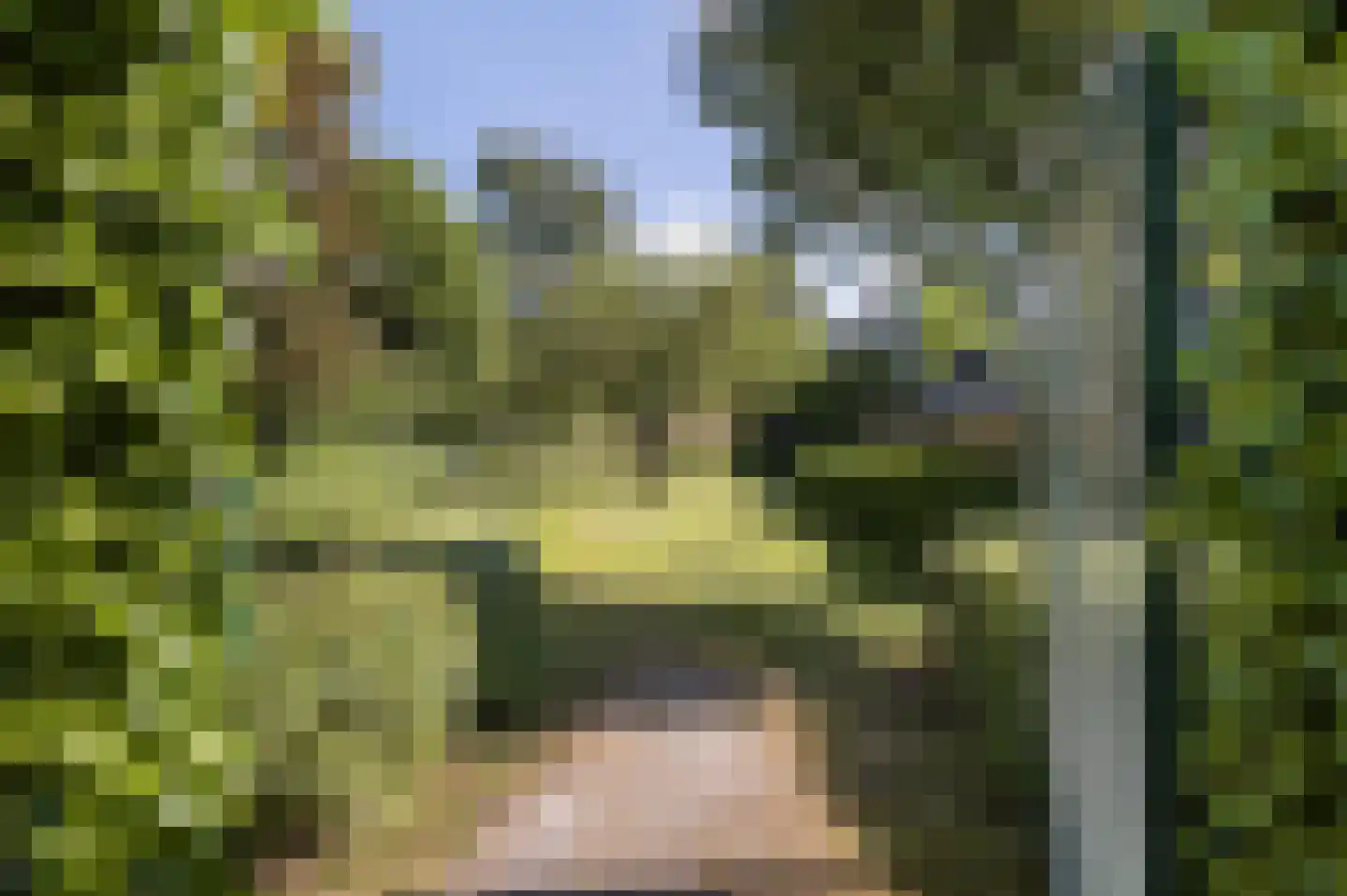 Theemsdreef 137 Utrecht thumbnail 29
