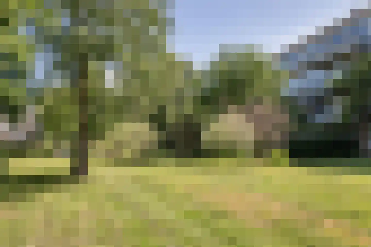 Theemsdreef 137 Utrecht thumbnail 30