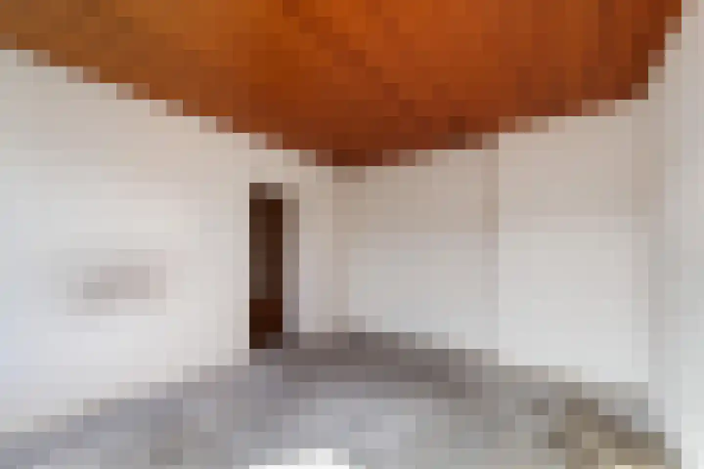 Theemsdreef 177 Utrecht thumbnail 14