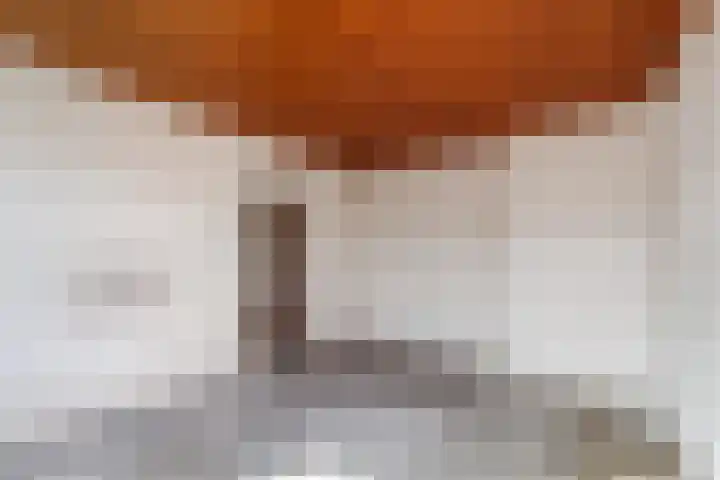 Theemsdreef 177 Utrecht thumbnail 14