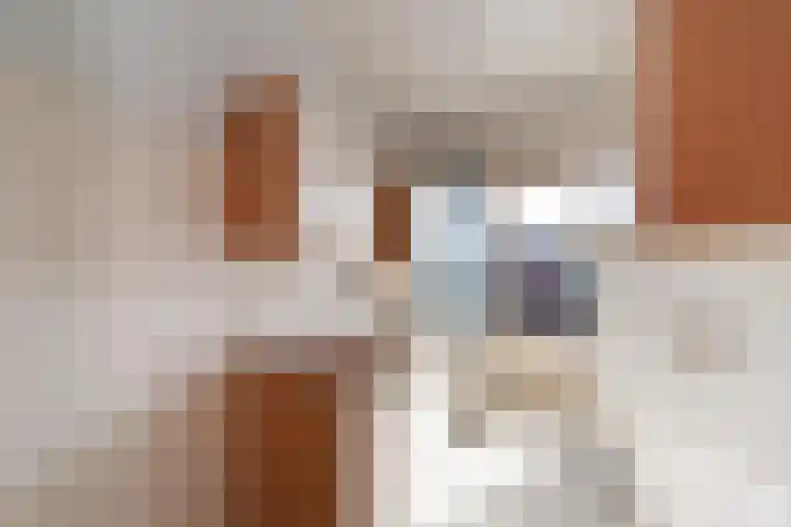Theemsdreef 177 Utrecht thumbnail 17
