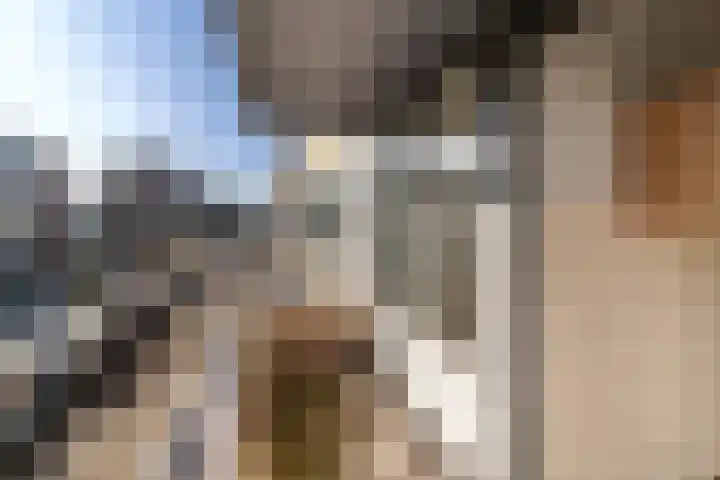 Theemsdreef 177 Utrecht thumbnail 18
