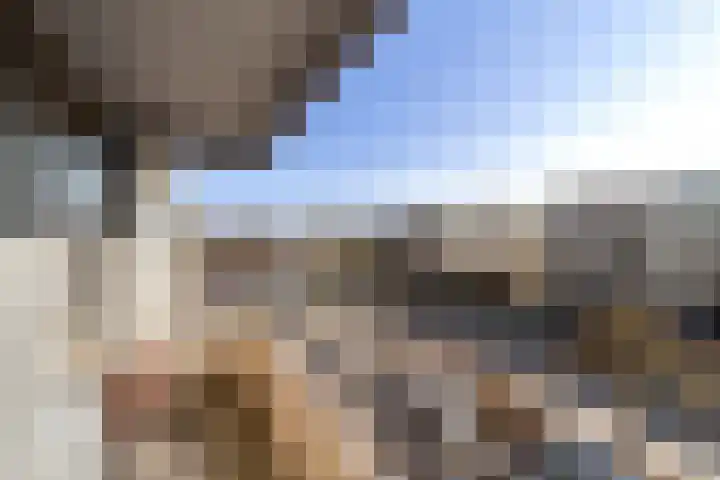 Theemsdreef 177 Utrecht thumbnail 19