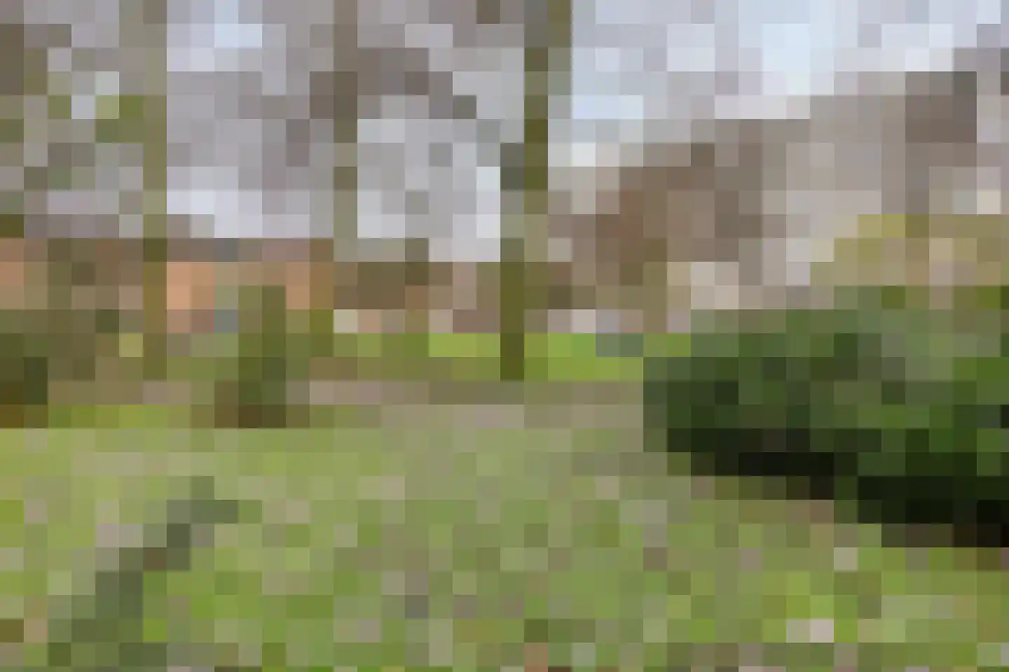 Theemsdreef 288 Utrecht thumbnail 32