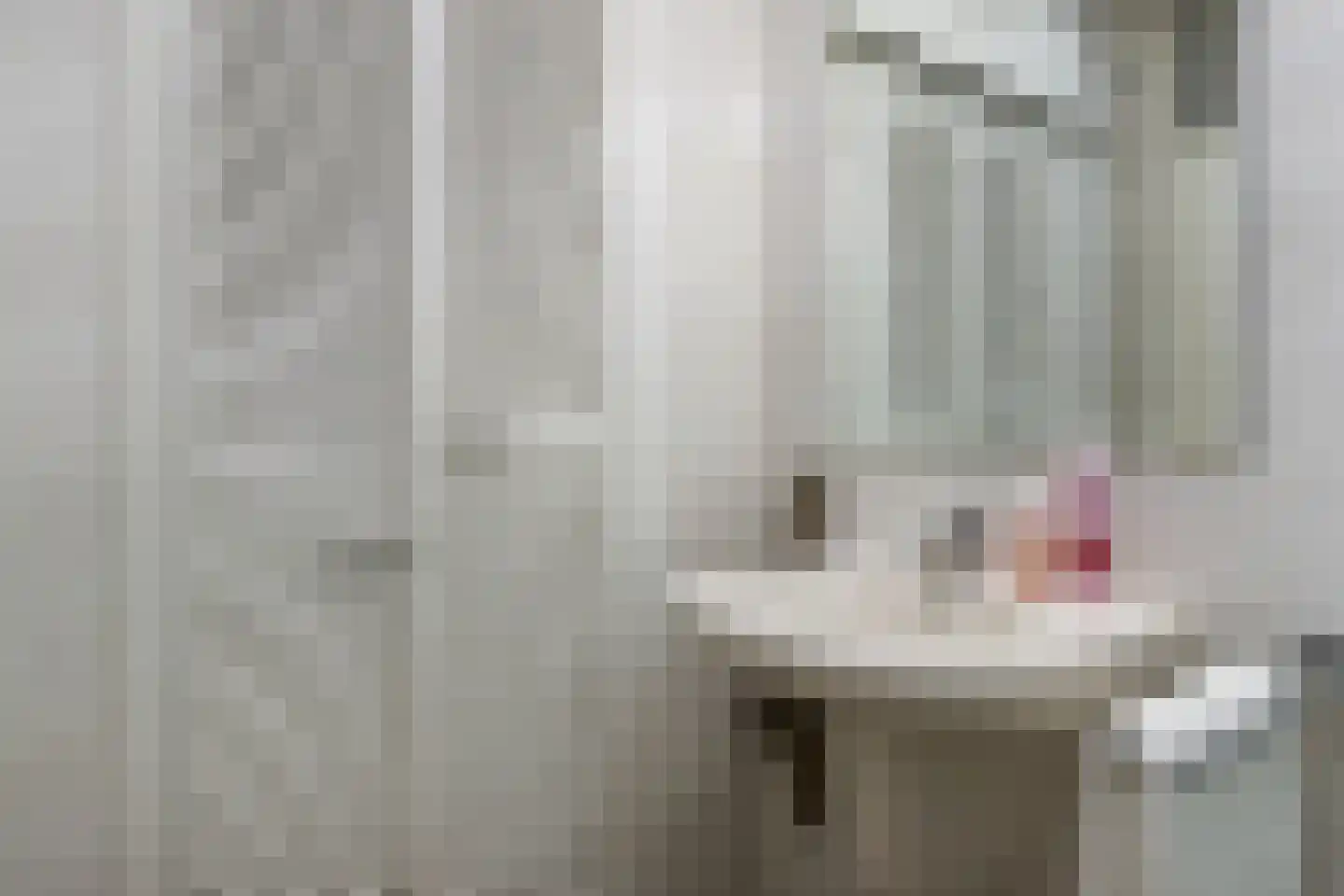 Theemsdreef 296 Utrecht thumbnail 22
