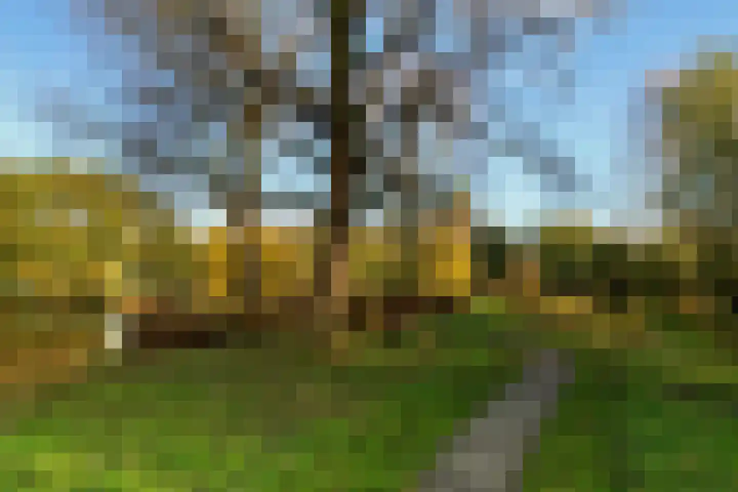 Theemsdreef 296 Utrecht thumbnail 30