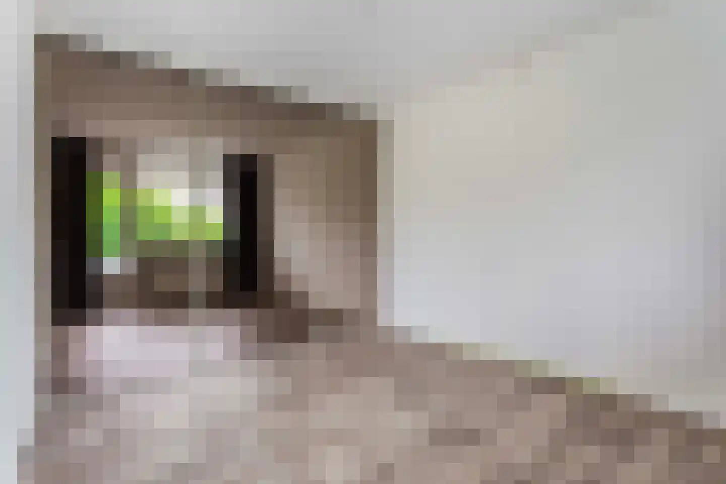 Theemsdreef 332 Utrecht thumbnail 11