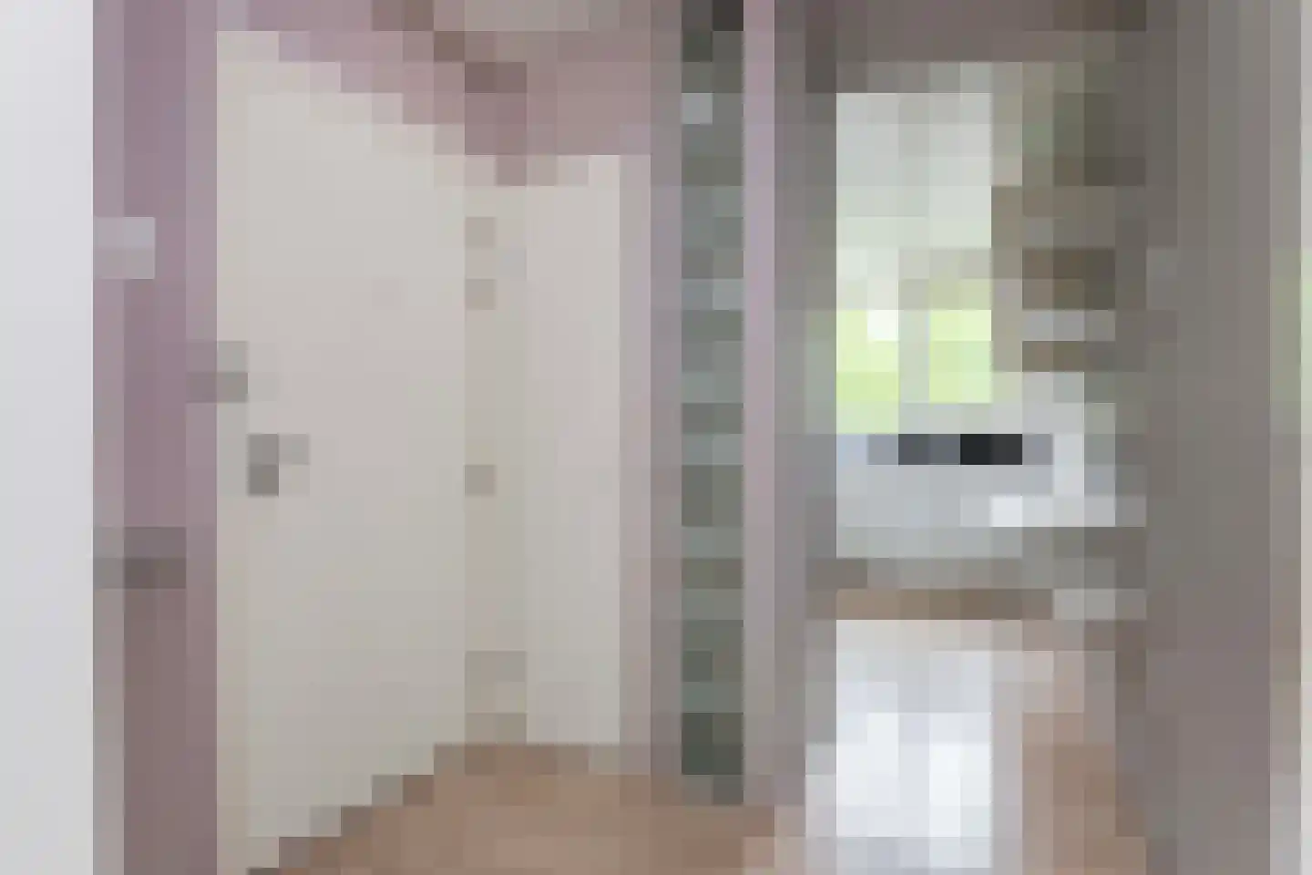 Theemsdreef 332 Utrecht thumbnail 9