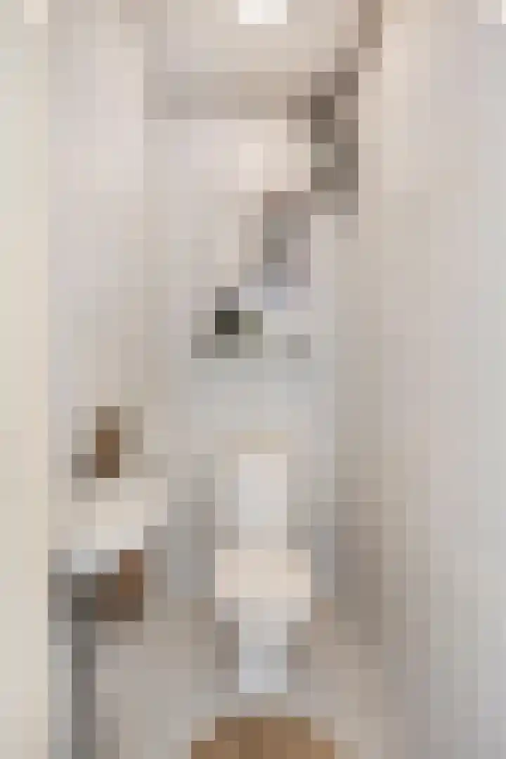 Theemsdreef 346 Utrecht thumbnail 11