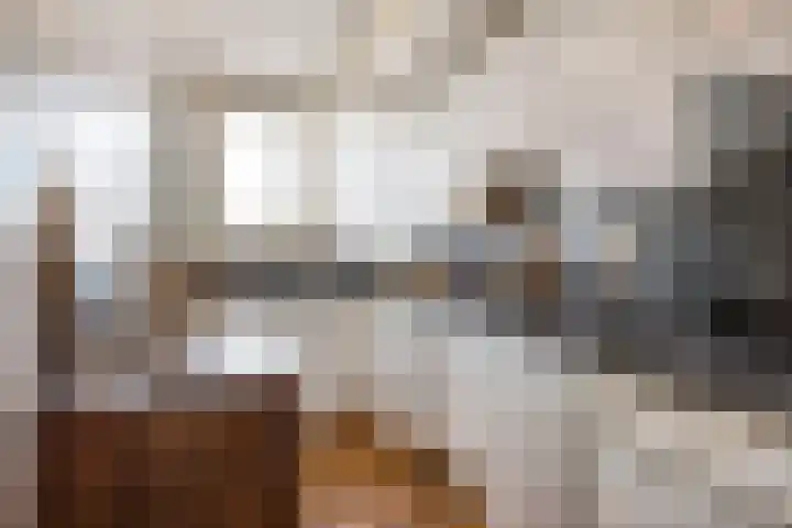 Theemsdreef 346 Utrecht thumbnail 12