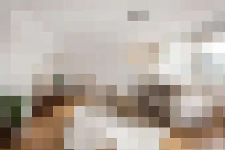 Theemsdreef 346 Utrecht thumbnail 16