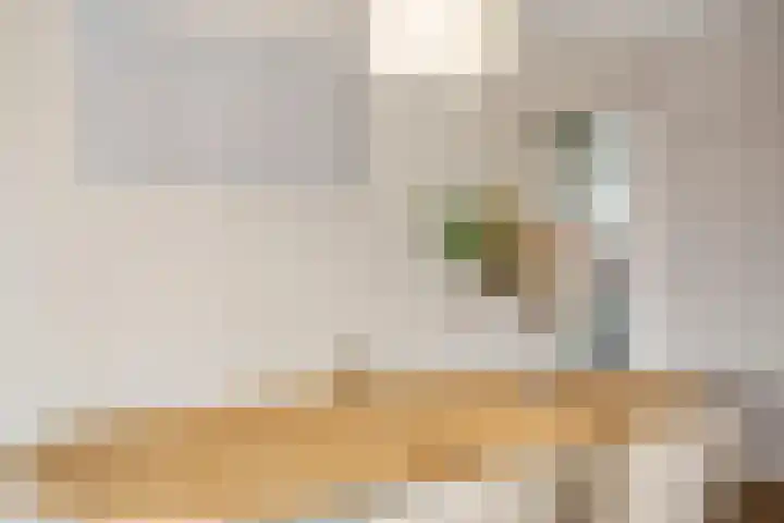 Theemsdreef 346 Utrecht thumbnail 18