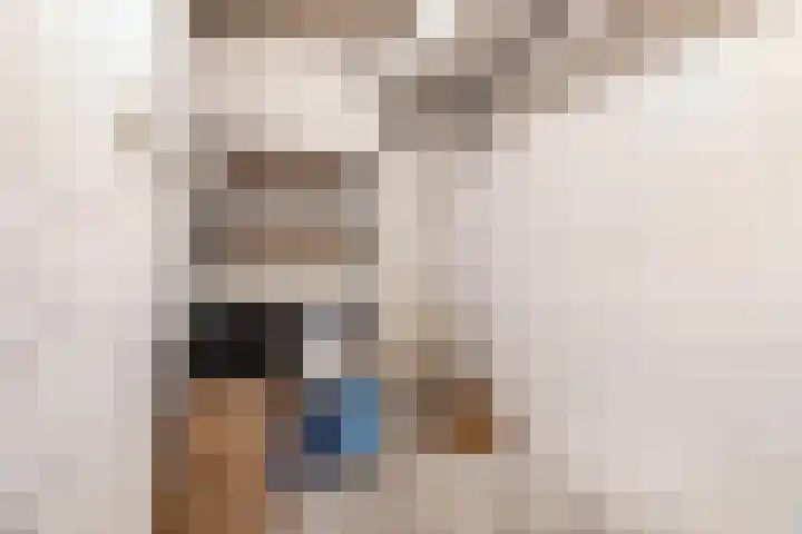 Theemsdreef 346 Utrecht thumbnail 26