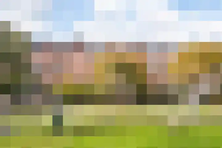 Theemsdreef 346 Utrecht thumbnail 27