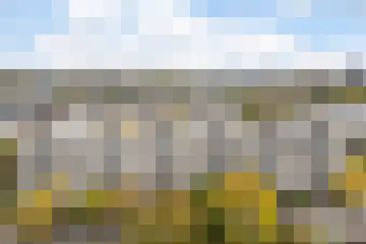Theemsdreef 346 Utrecht thumbnail 28