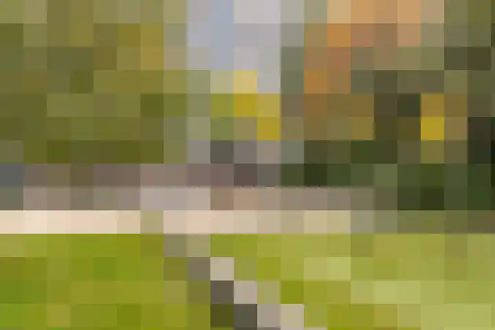 Theemsdreef 346 Utrecht thumbnail 30