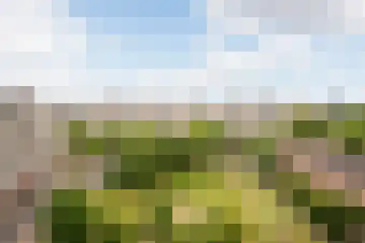 Theemsdreef 354 Utrecht thumbnail 19