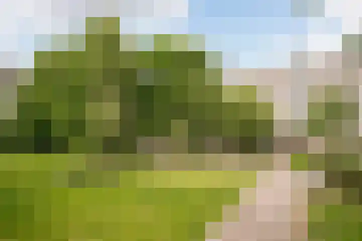 Theemsdreef 354 Utrecht thumbnail 20