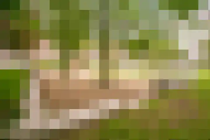 Theemsdreef 354 Utrecht thumbnail 21