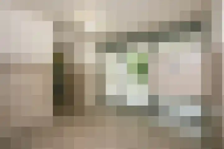 Theemsdreef 354 Utrecht thumbnail 23