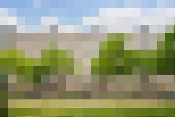 Theemsdreef 354 Utrecht thumbnail 26
